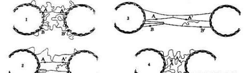 稠油管道節(jié)能輸送橡膠接頭：橡膠用白炭黑